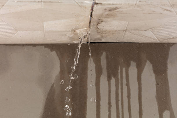 Professional Structural Drying technician working in Bynum, TX